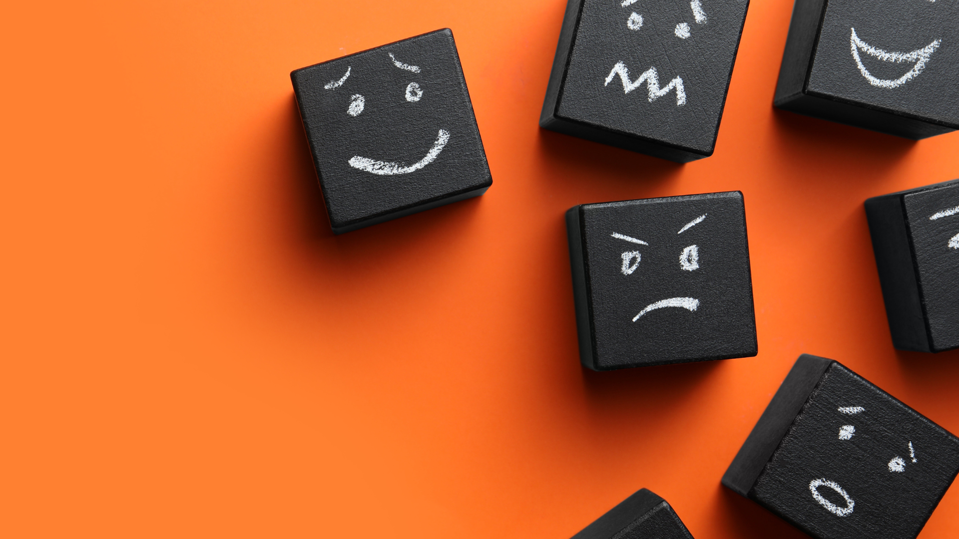 Why Facts Alone Don’t Drive Policy Decisions